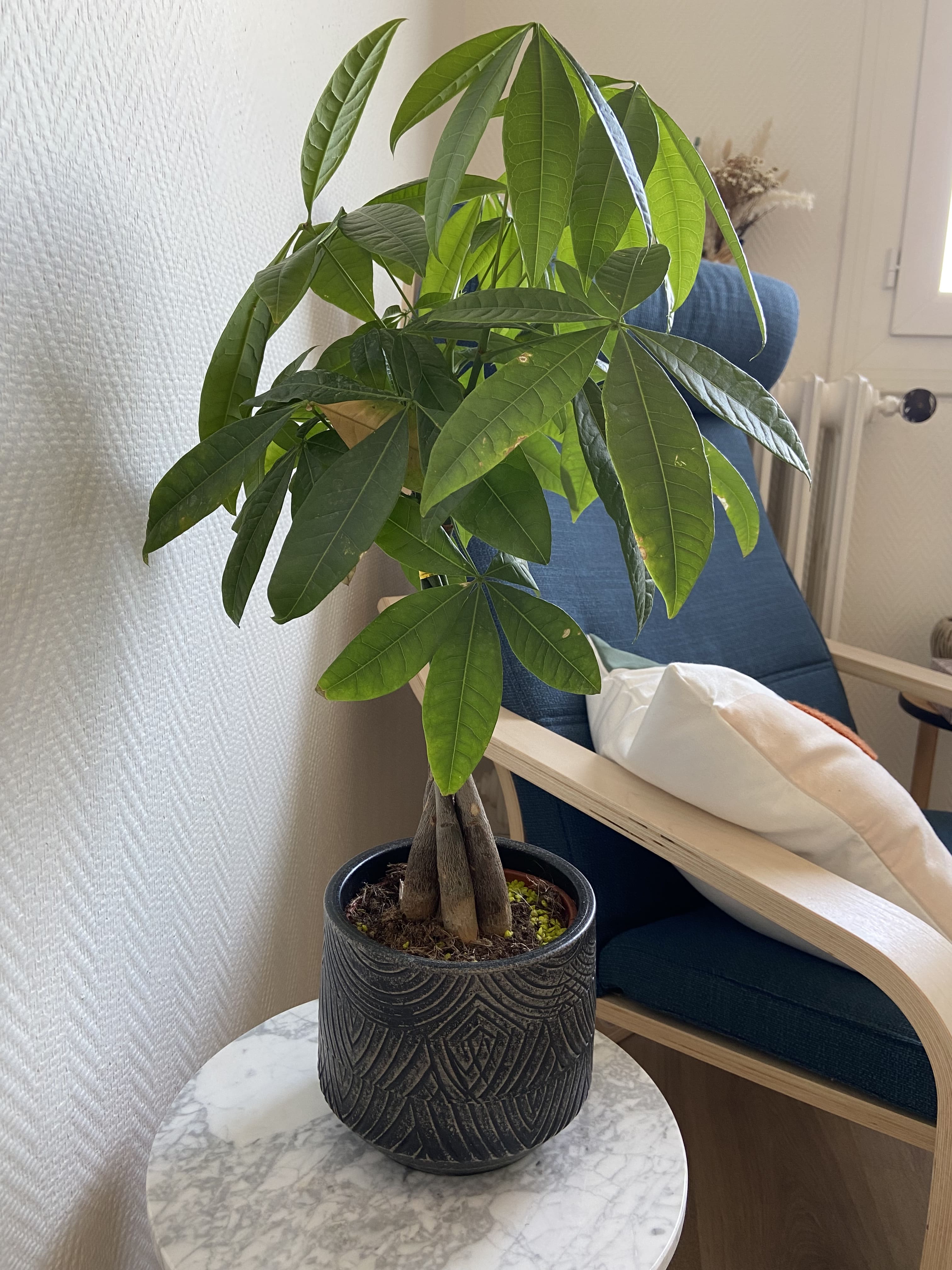 Illustration de la libération des blocages par l'hypnose et la PNL